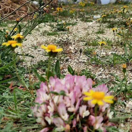 Apartamento Arion Mykonos